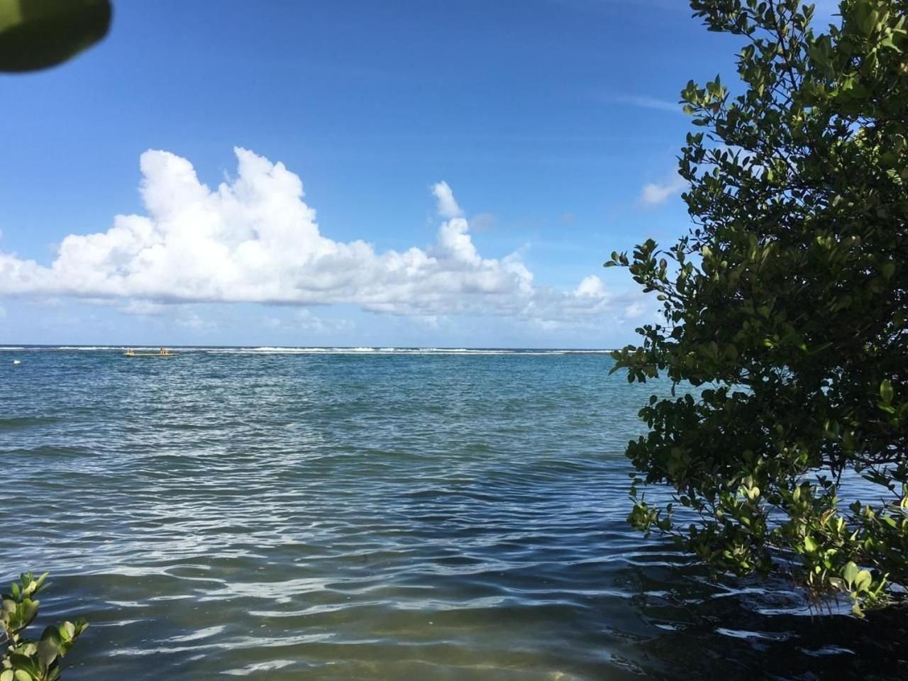 Polinesia Resort - Porto De Galinhas - Apartamentos Com Somente 1 Opcao De Terreo Com Piscina Privativa - Acesso Ao Hotel Samoa Dış mekan fotoğraf