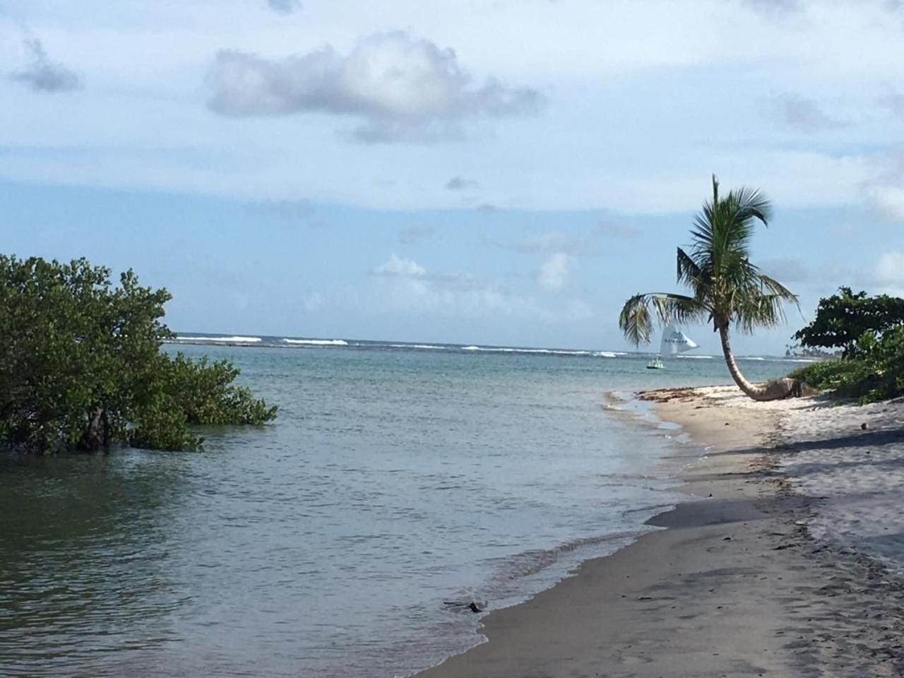Polinesia Resort - Porto De Galinhas - Apartamentos Com Somente 1 Opcao De Terreo Com Piscina Privativa - Acesso Ao Hotel Samoa Dış mekan fotoğraf