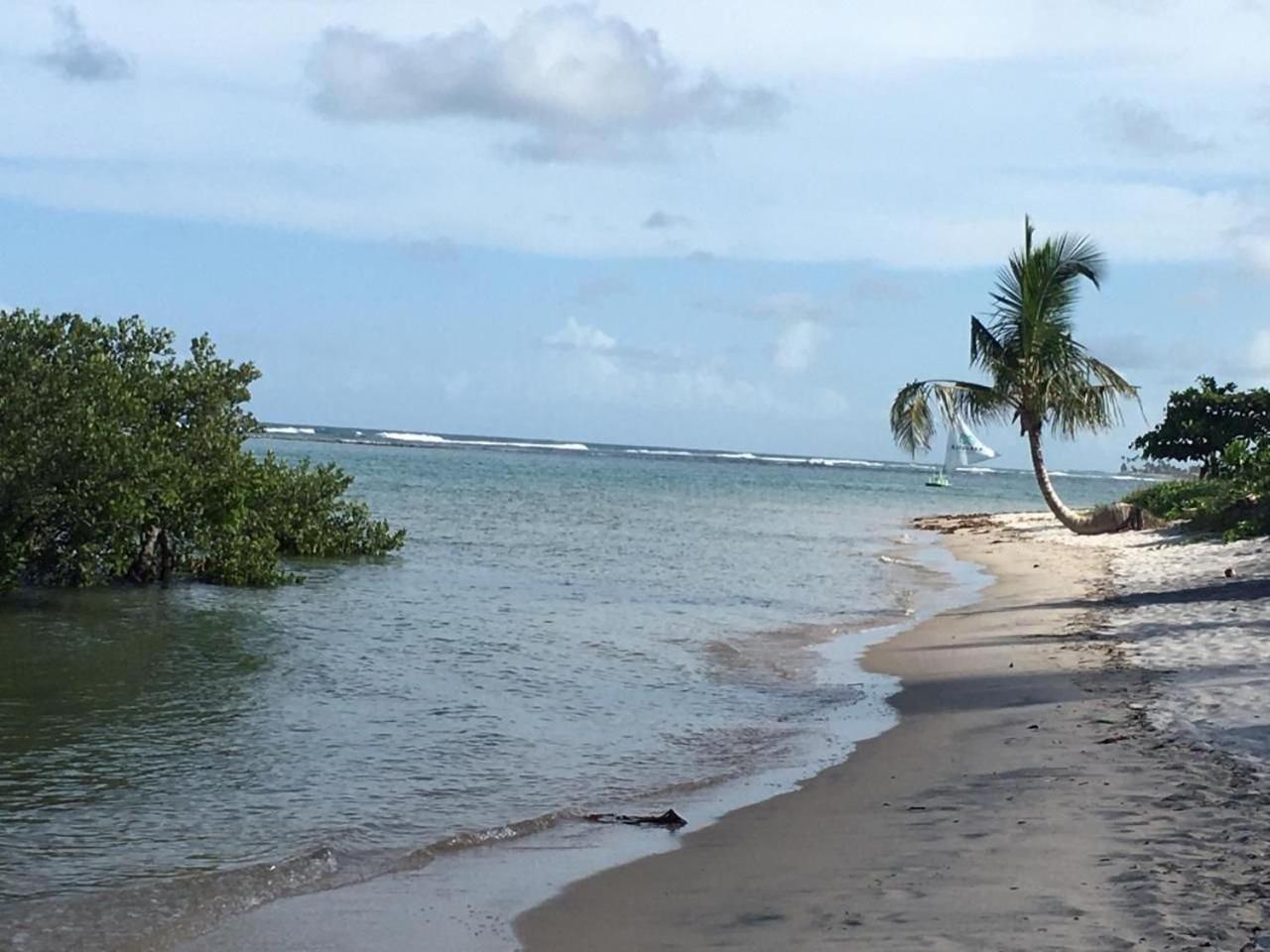 Polinesia Resort - Porto De Galinhas - Apartamentos Com Somente 1 Opcao De Terreo Com Piscina Privativa - Acesso Ao Hotel Samoa Dış mekan fotoğraf